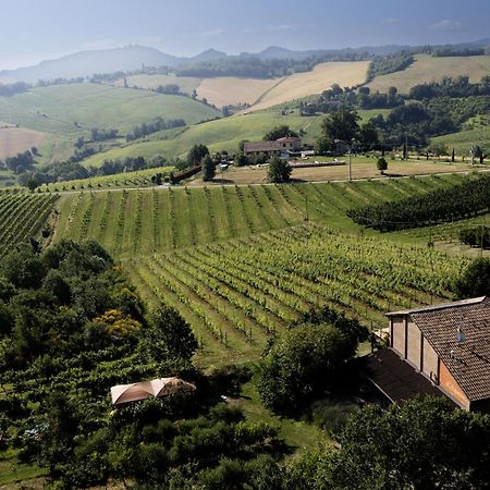La Ca Dal Non Bioagriturismo - Alpenice Savignano sul Panaro Ngoại thất bức ảnh