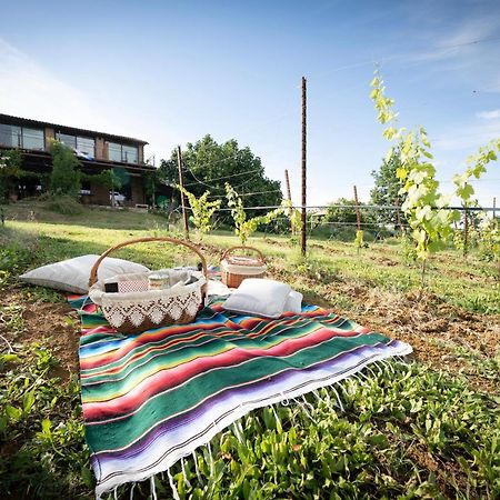 La Ca Dal Non Bioagriturismo - Alpenice Savignano sul Panaro Ngoại thất bức ảnh