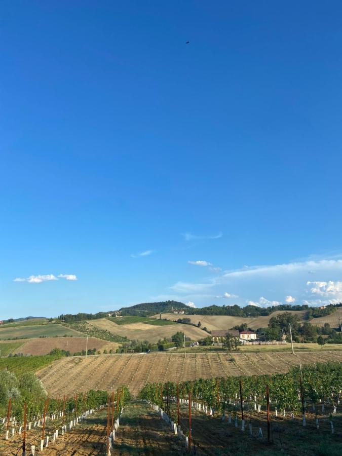 La Ca Dal Non Bioagriturismo - Alpenice Savignano sul Panaro Ngoại thất bức ảnh