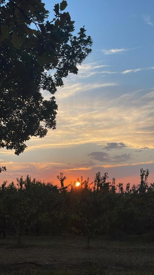 La Ca Dal Non Bioagriturismo - Alpenice Savignano sul Panaro Ngoại thất bức ảnh