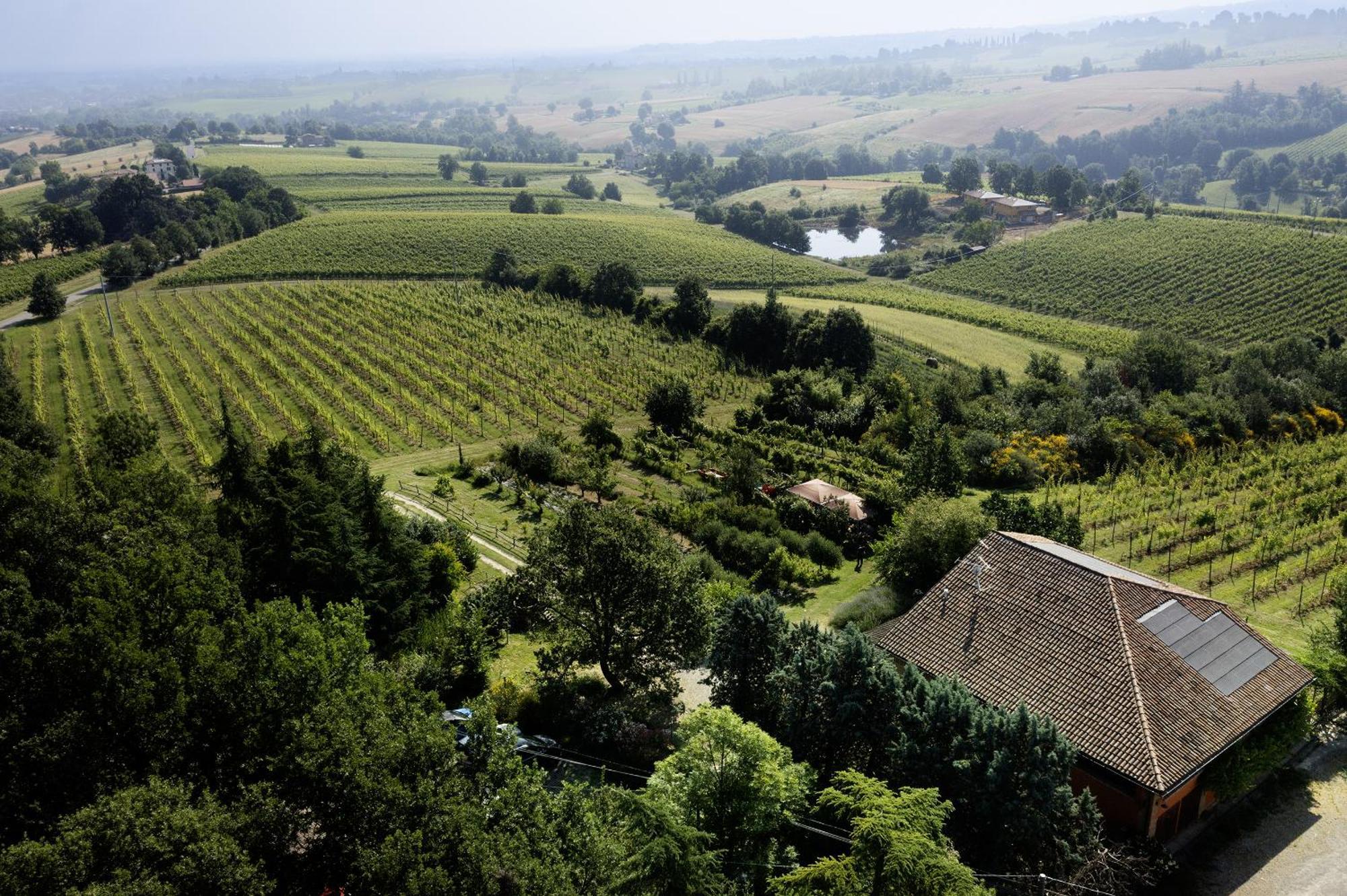 La Ca Dal Non Bioagriturismo - Alpenice Savignano sul Panaro Ngoại thất bức ảnh