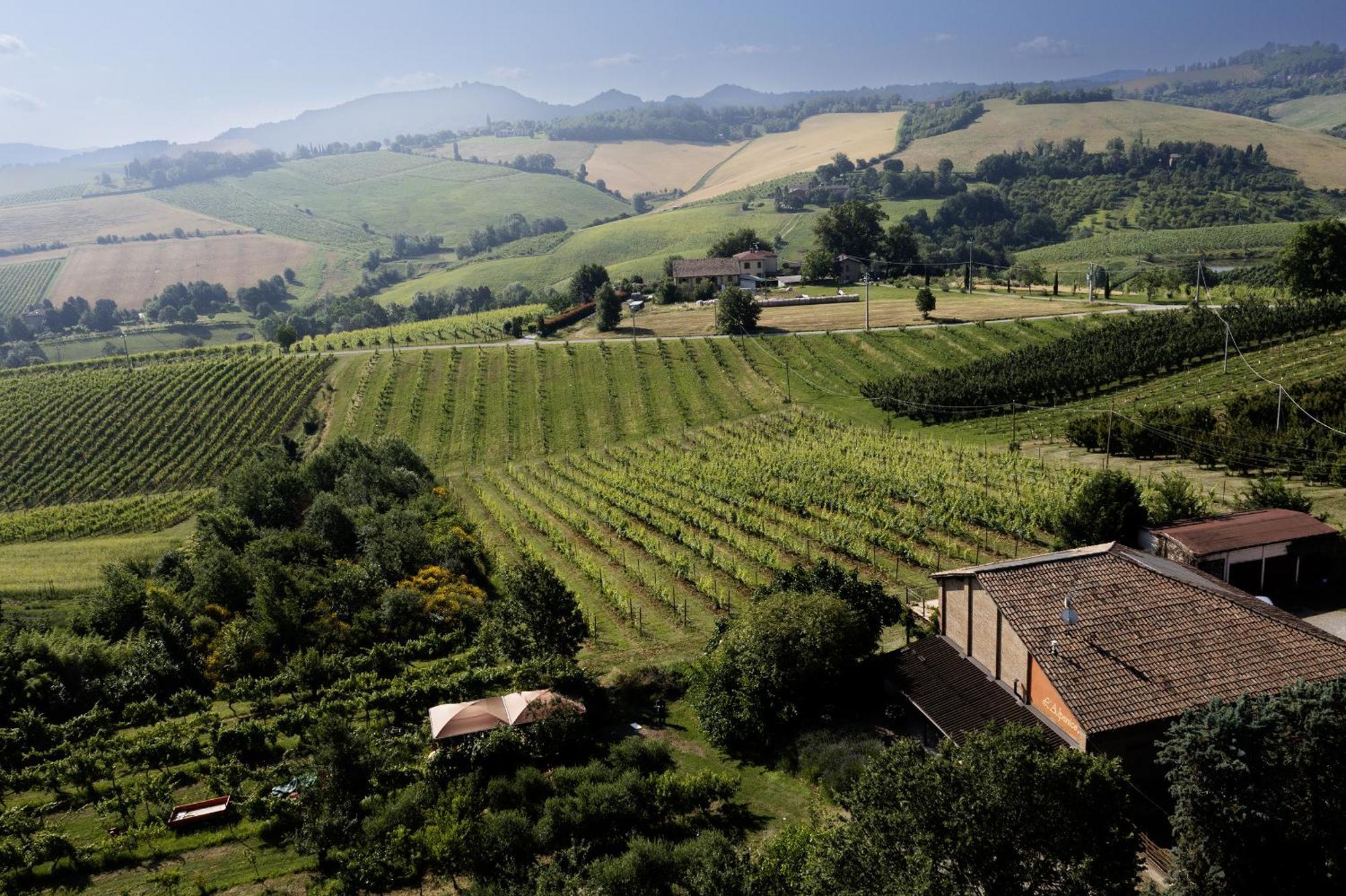 La Ca Dal Non Bioagriturismo - Alpenice Savignano sul Panaro Ngoại thất bức ảnh