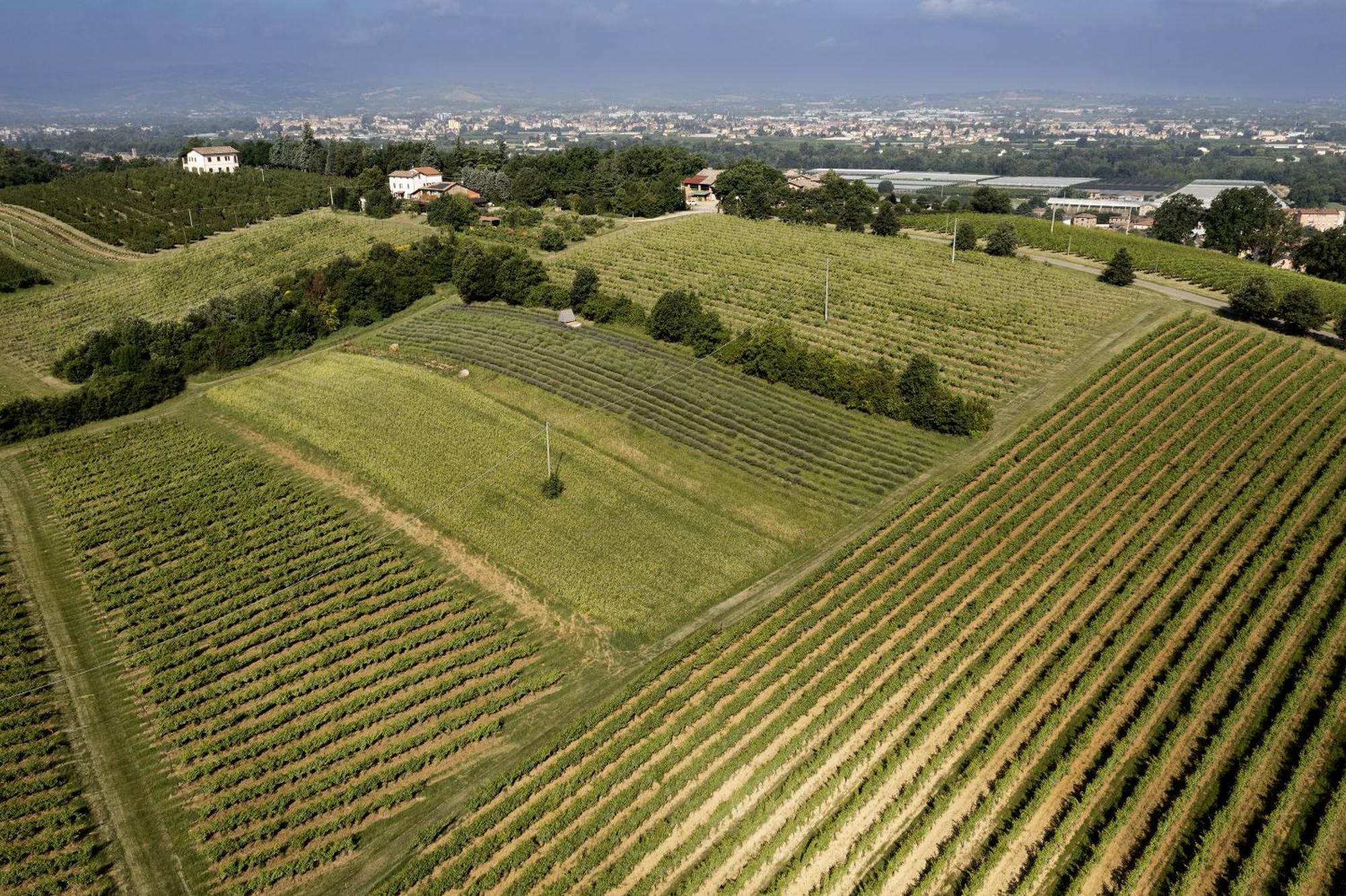 La Ca Dal Non Bioagriturismo - Alpenice Savignano sul Panaro Ngoại thất bức ảnh