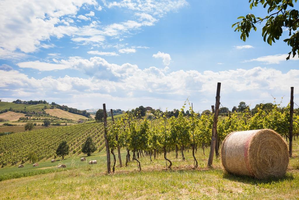 La Ca Dal Non Bioagriturismo - Alpenice Savignano sul Panaro Ngoại thất bức ảnh