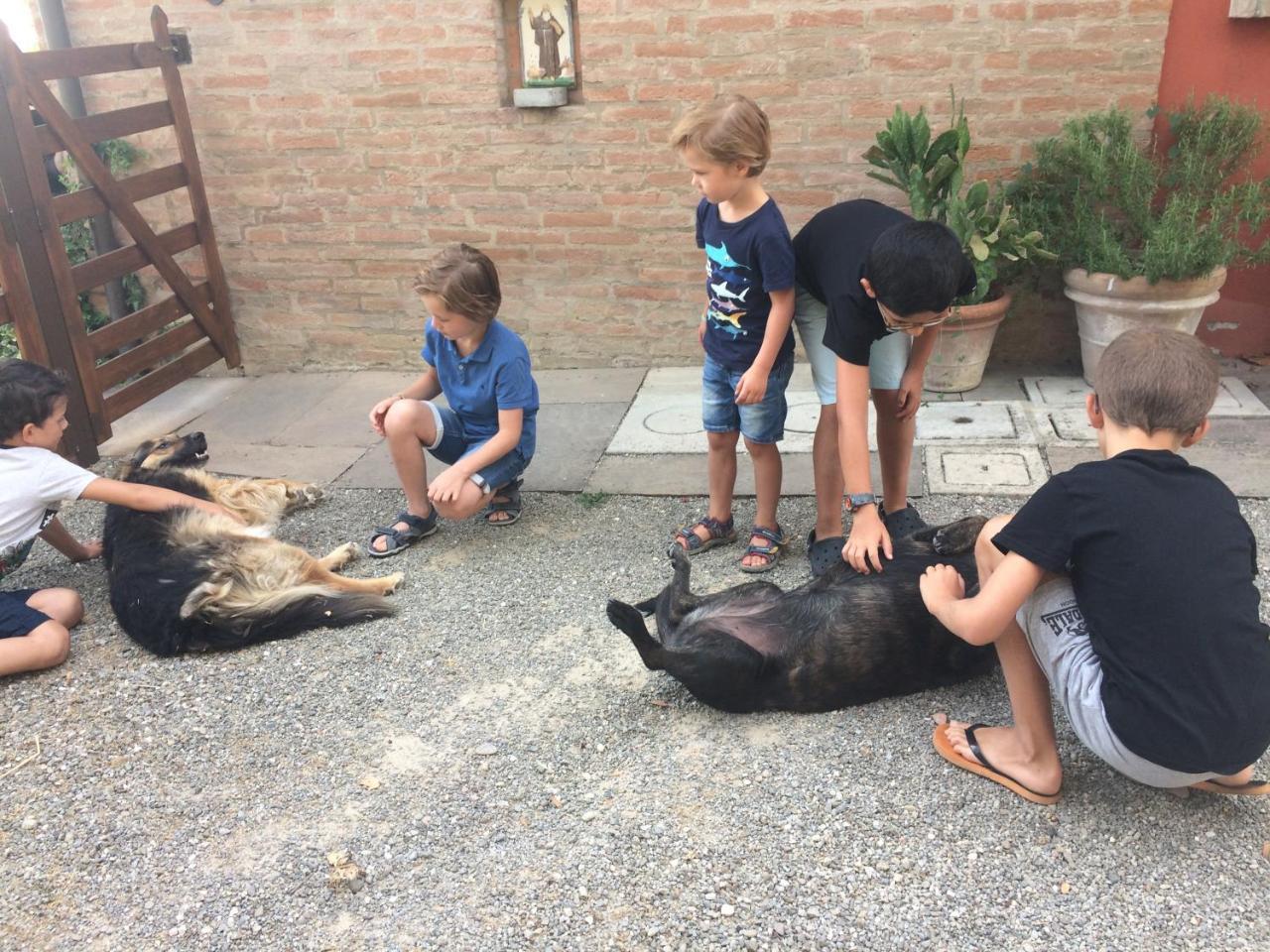 La Ca Dal Non Bioagriturismo - Alpenice Savignano sul Panaro Ngoại thất bức ảnh